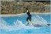 delfini_surfing_LP_281.jpg